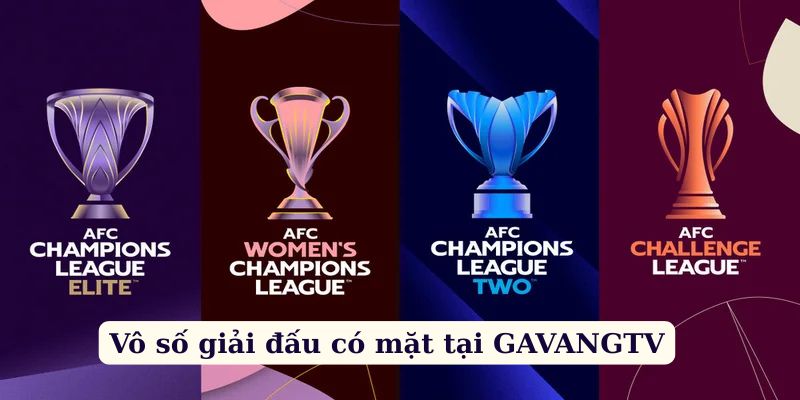 Vô số giải đấu có mặt tại Gà Vàng TV