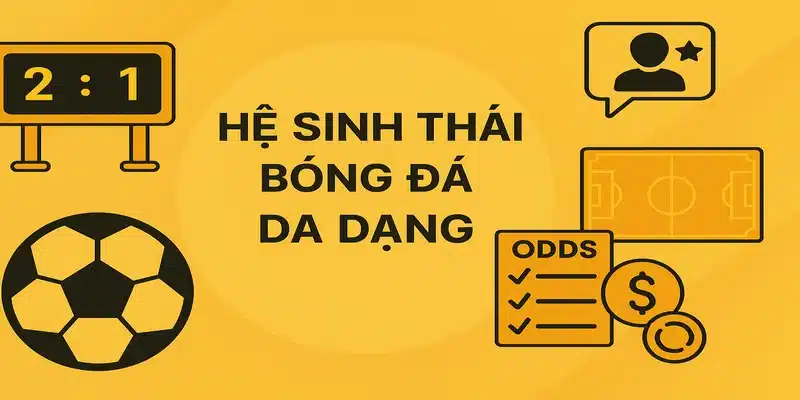 Hệ sinh thái bóng đá đa dạng của Gavang TV